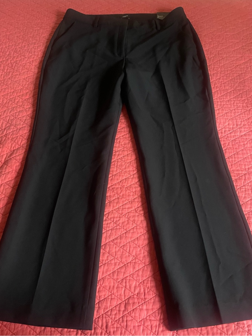 Black Women’s Dress Pants - Express 14S